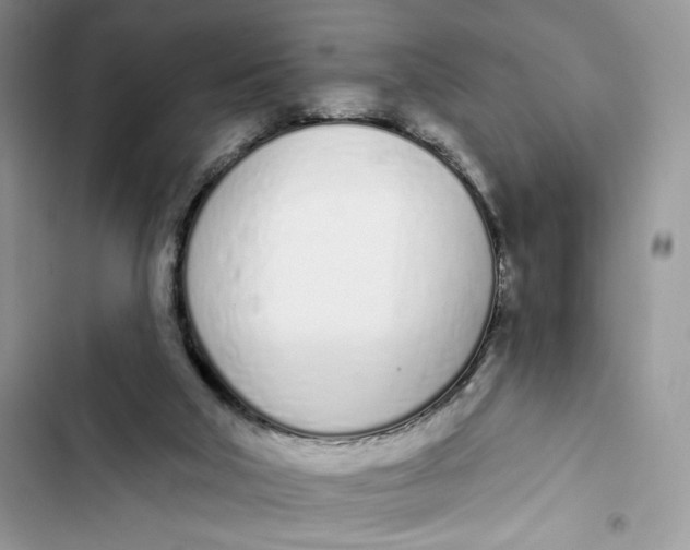 X0000103400018200810031234