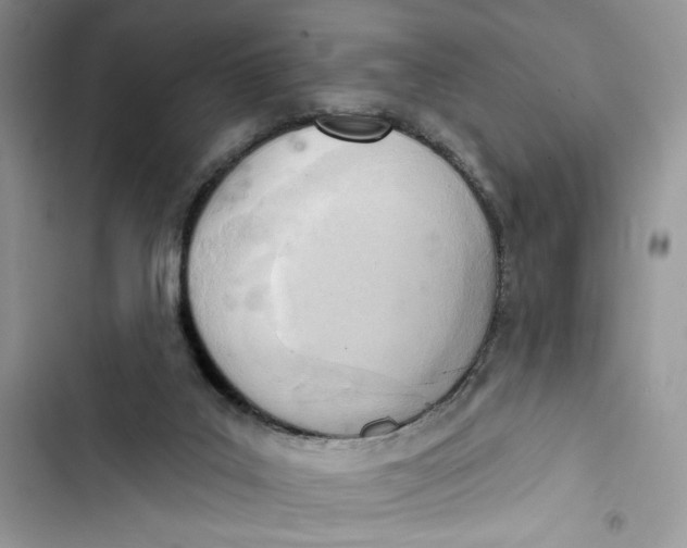 X0000103400019200810031234