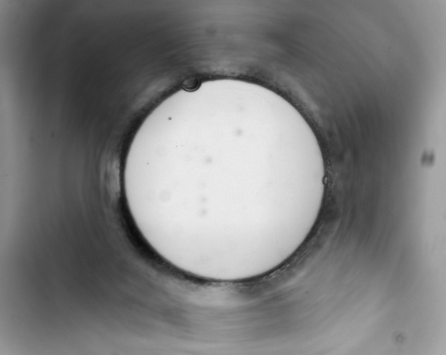 X0000103400020200810031234