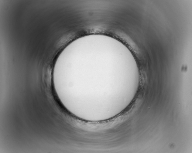 X0000103400022200810031234