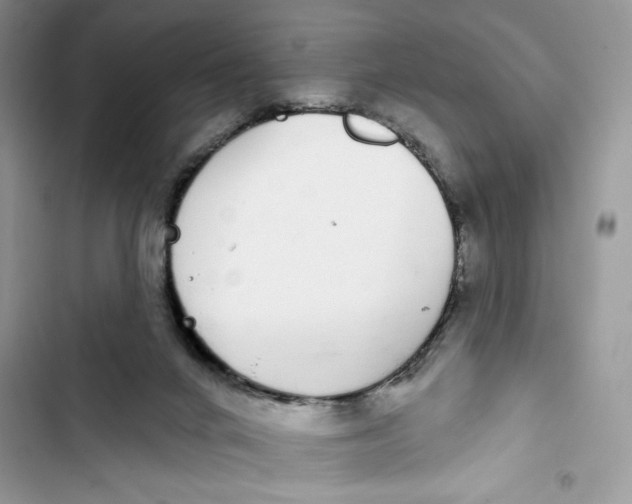 X0000103400024200810031234