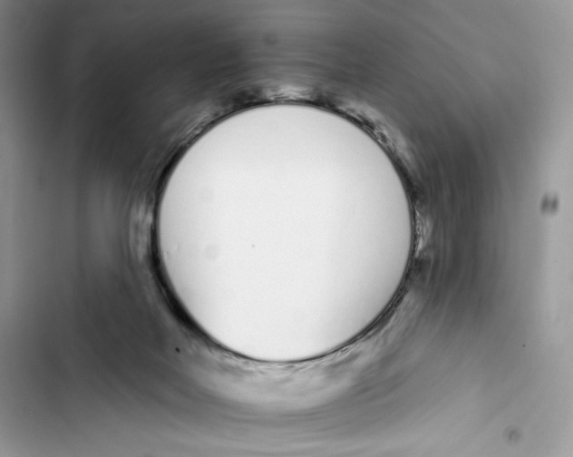 X0000103400026200810031234