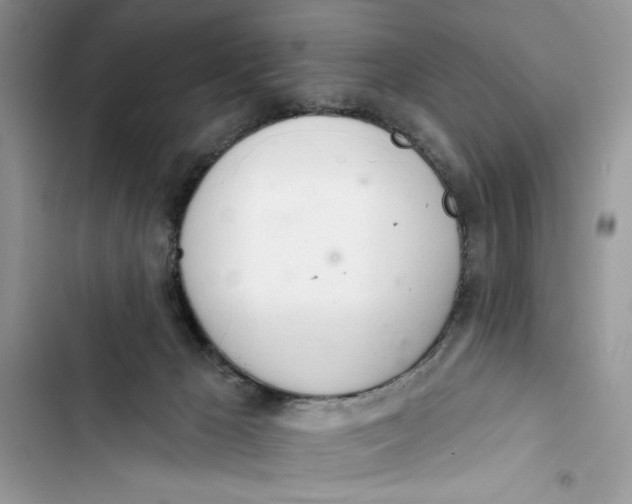 X0000103400029200810031234