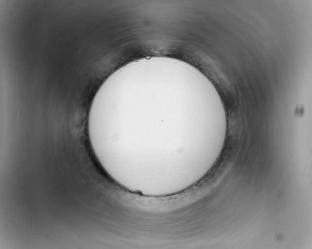 X0000103400030200810031234