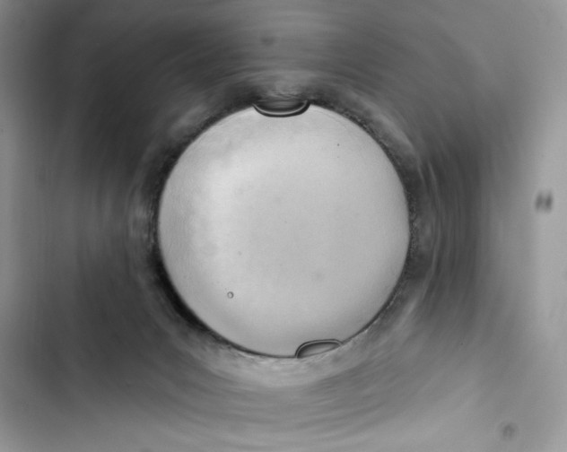 X0000103400031200810031234