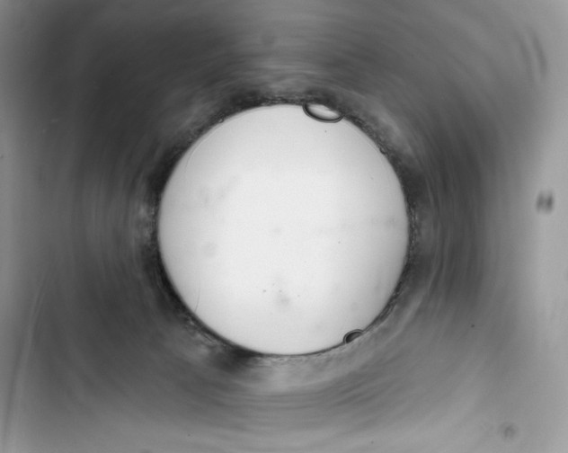 X0000103400033200810031234