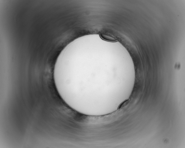 X0000103400037200810031234