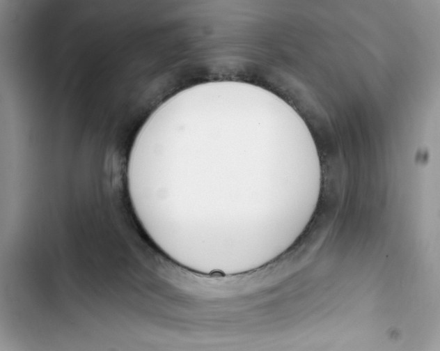 X0000103400038200810031234