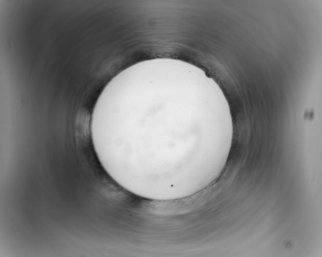 X0000103400041200810031234