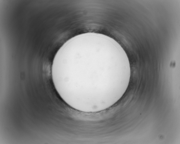 X0000103400042200810031234