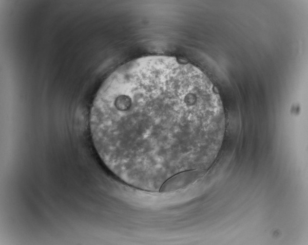 X0000103400043200810031234