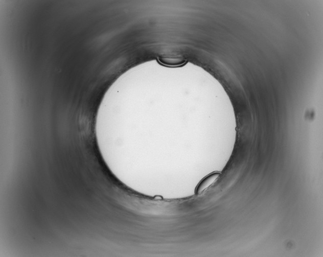 X0000103400044200810031234