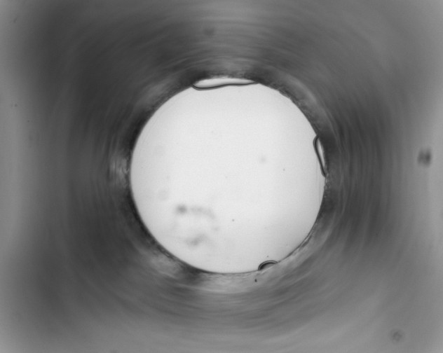 X0000103400045200810031234