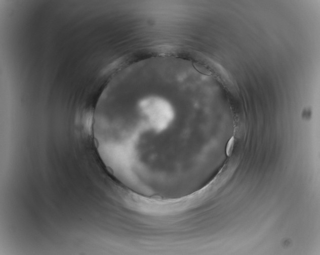 X0000103400047200810031234