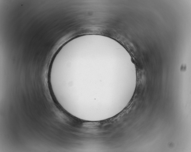 X0000103400051200810031233