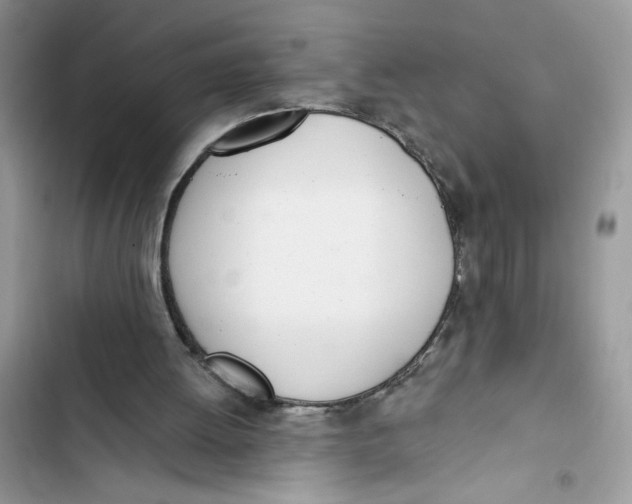 X0000103400052200810031233