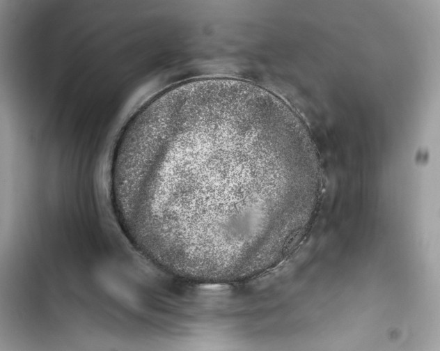 X0000103400053200810031233