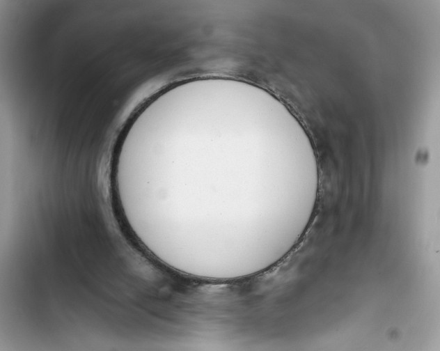 X0000103400054200810031233