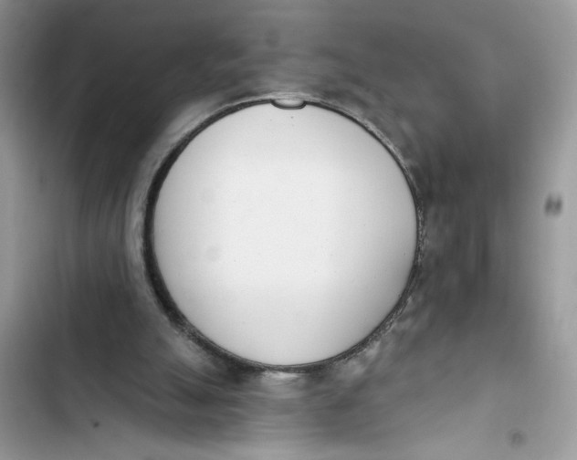 X0000103400055200810031233