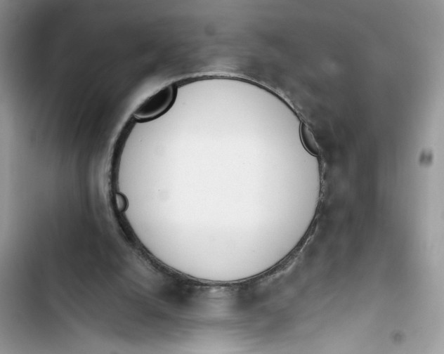 X0000103400056200810031233