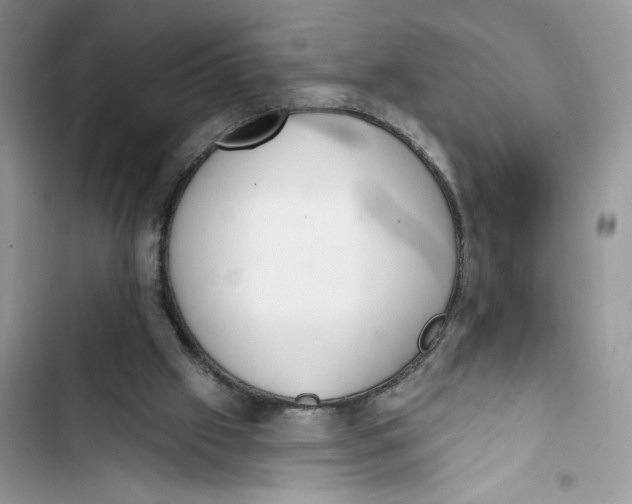 X0000103400057200810031233