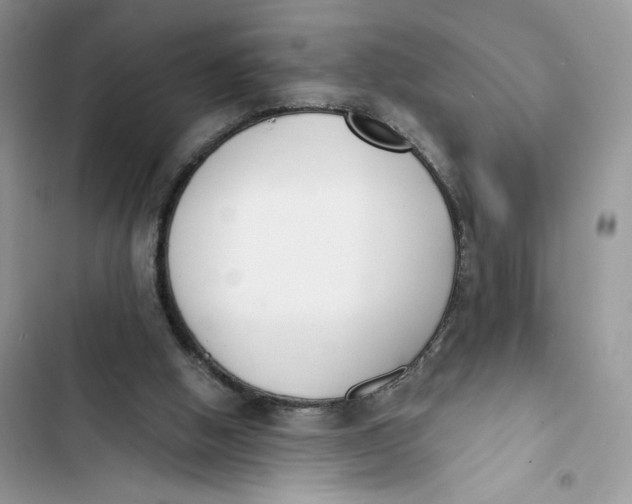 X0000103400058200810031233