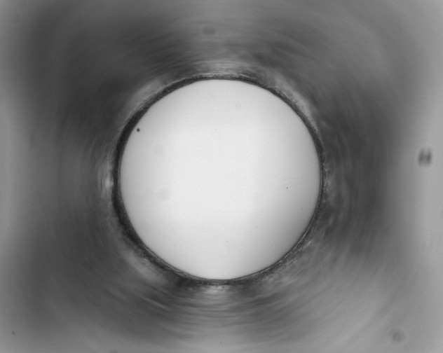 X0000103400059200810031233