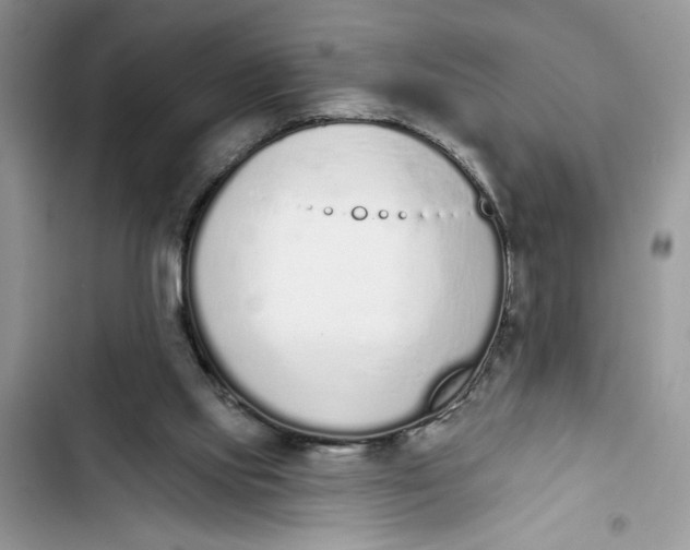 X0000103400061200810031233