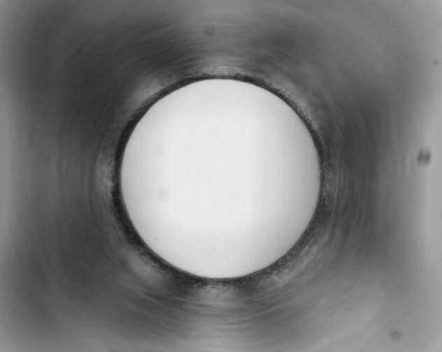 X0000103400063200810031233