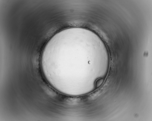 X0000103400065200810031233