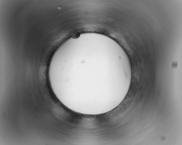 X0000103400066200810031233