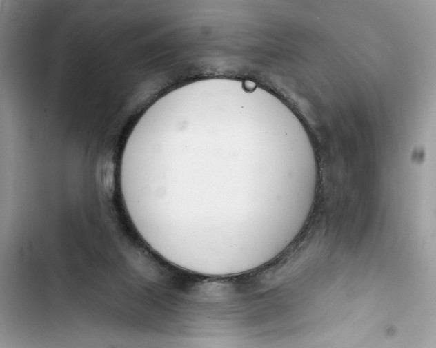 X0000103400067200810031233