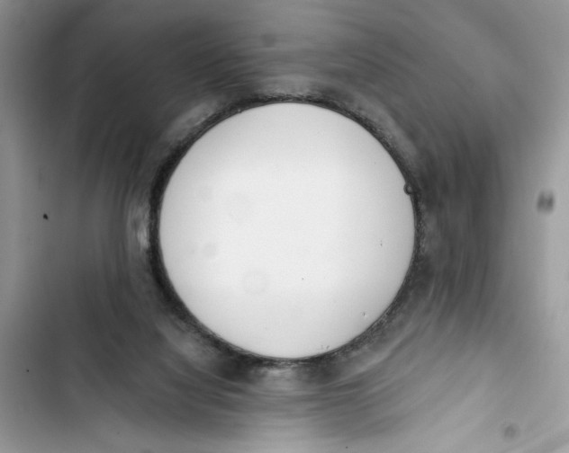 X0000103400068200810031233