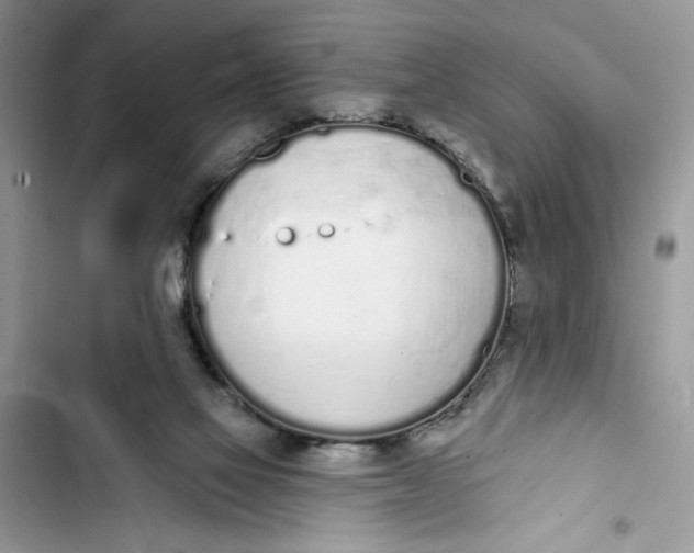 X0000103400069200810031233