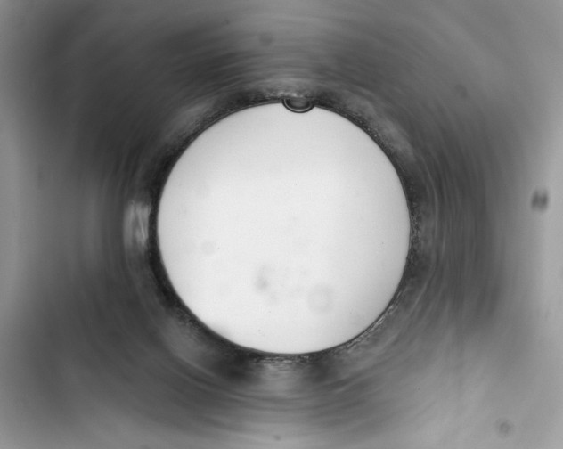 X0000103400070200810031233