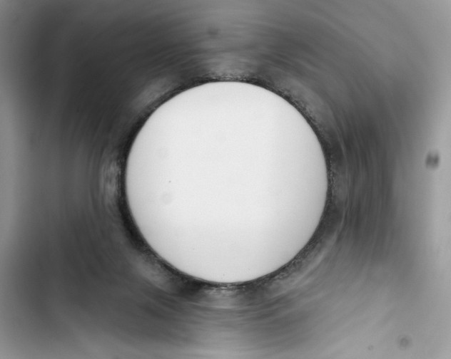 X0000103400071200810031233