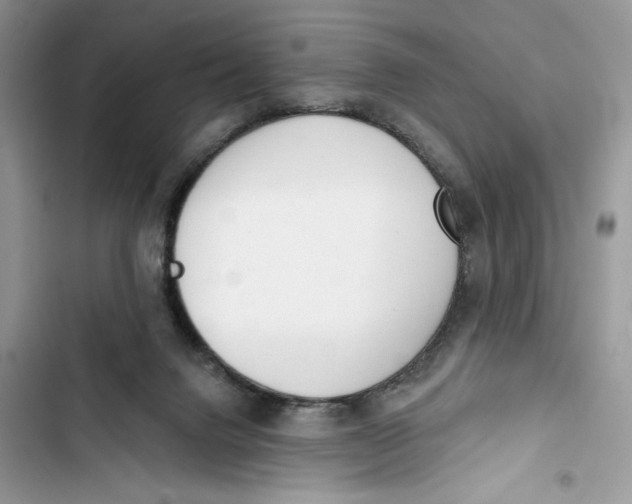 X0000103400072200810031233