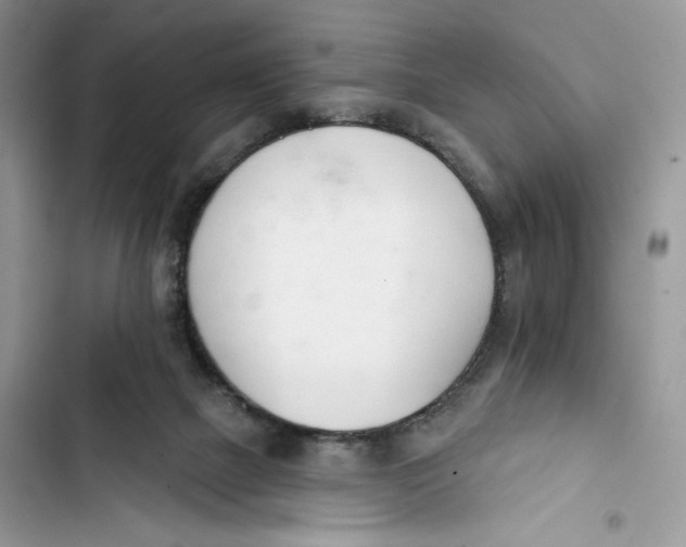 X0000103400073200810031233