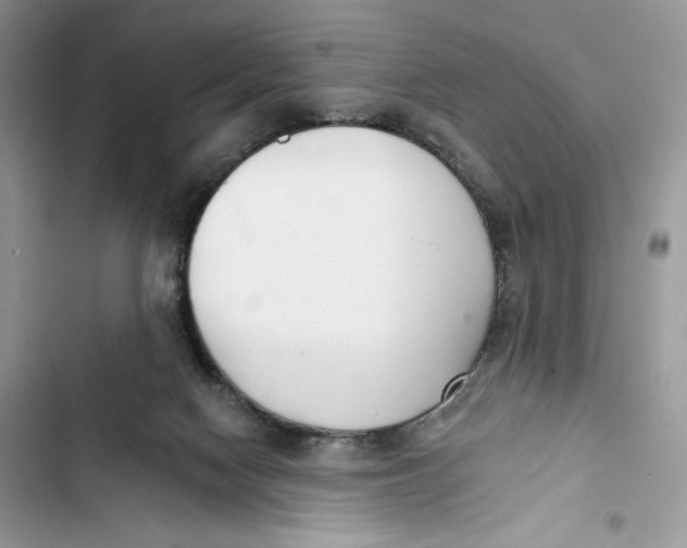 X0000103400074200810031233