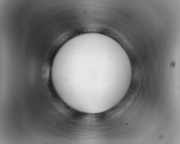 X0000103400076200810031233