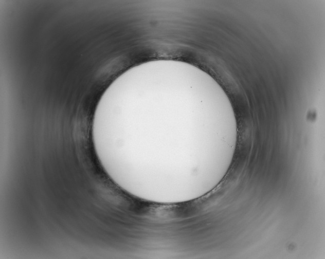 X0000103400078200810031233