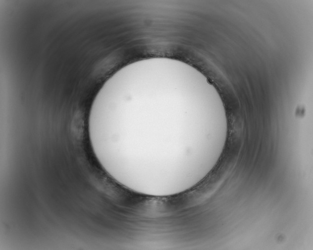 X0000103400080200810031233