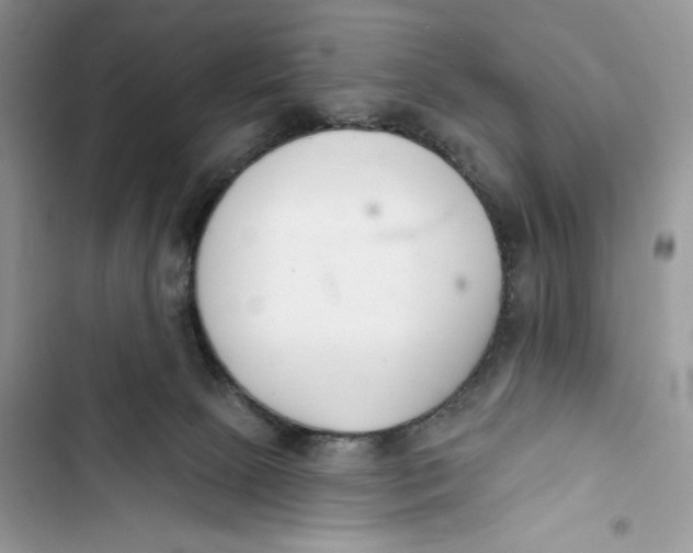 X0000103400081200810031233