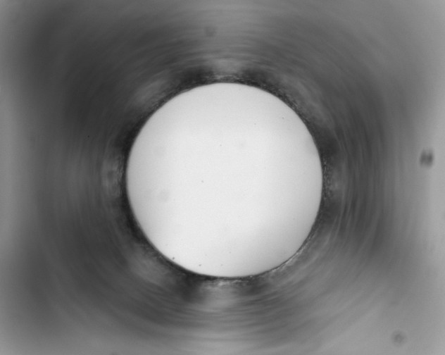 X0000103400082200810031233