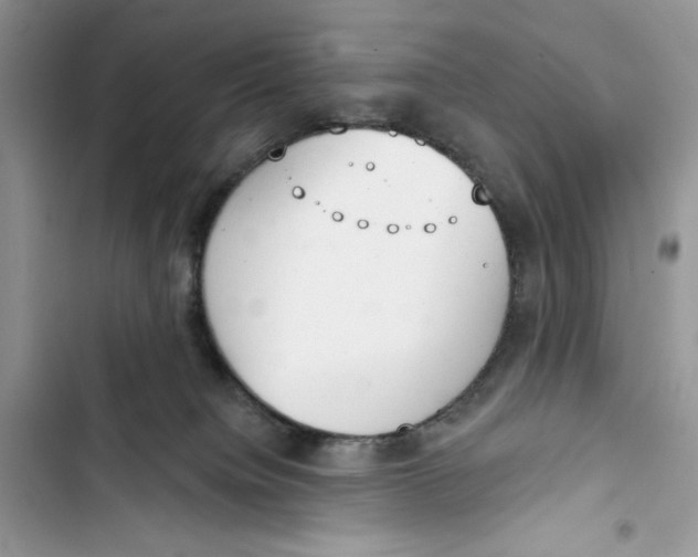 X0000103400084200810031233