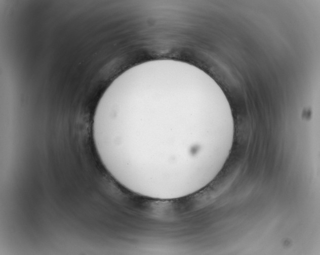 X0000103400085200810031233