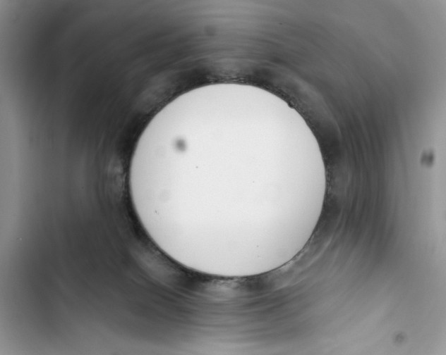 X0000103400086200810031233