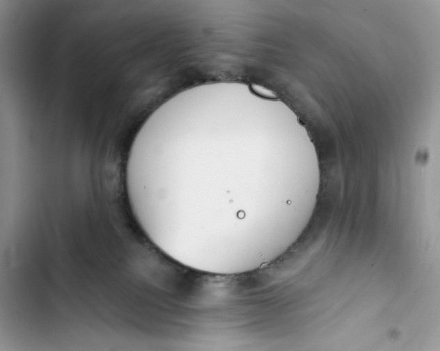 X0000103400088200810031233