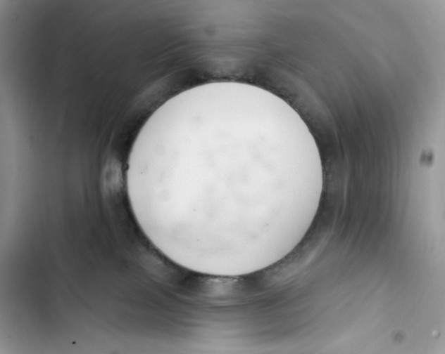 X0000103400089200810031233