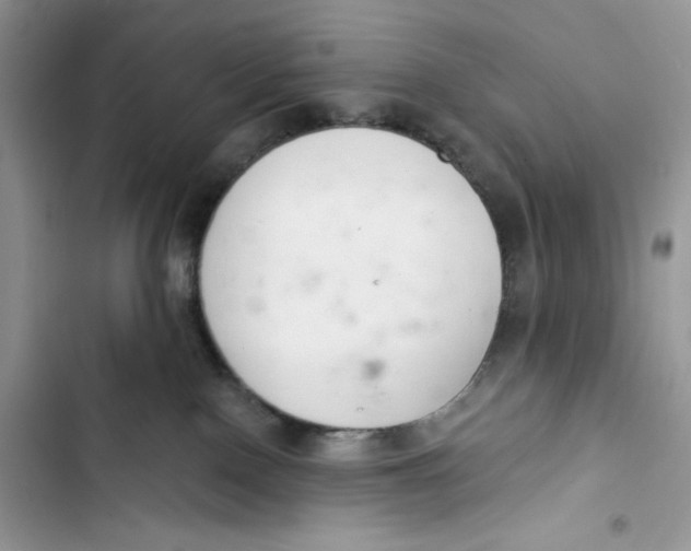 X0000103400090200810031233